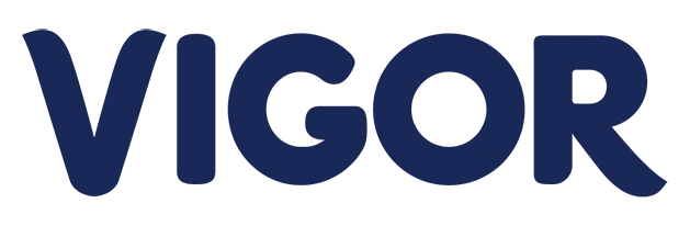 logo-load-VIGOR